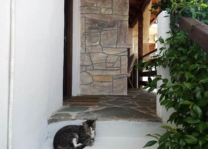 Appartamento Petrino1880 Sea-vacation In Chalkidiki