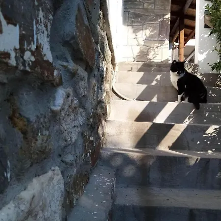 Apartmán Petrino1880 Sea-vacation In Chalkidiki