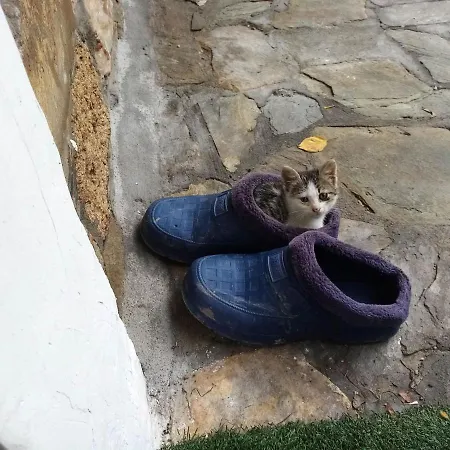 Apartmán Petrino1880 Sea-vacation In Chalkidiki Ágios Nikólaos