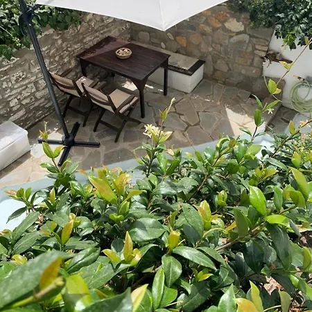 Petrino1880 Sea-vacation In Chalkidiki Apartmán *