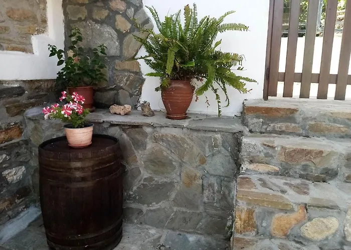 Petrino1880 Sea-vacation In Chalkidiki *